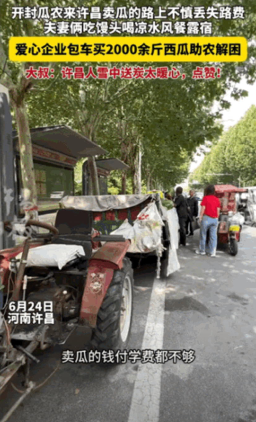 泪目！瓜农丢路费啃馒头充饥