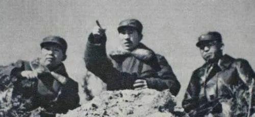 四野'五虎'之谜