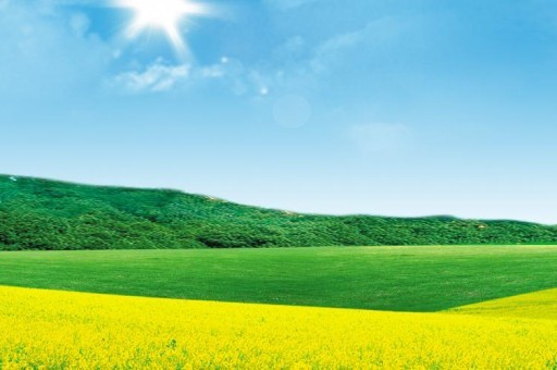 瓷砖胶十大品牌2025年排名前十名榜单出炉