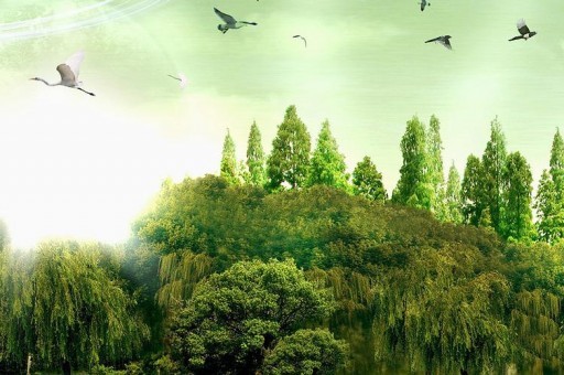 十大山西晋菜排行榜2025年排名前十名榜单出炉