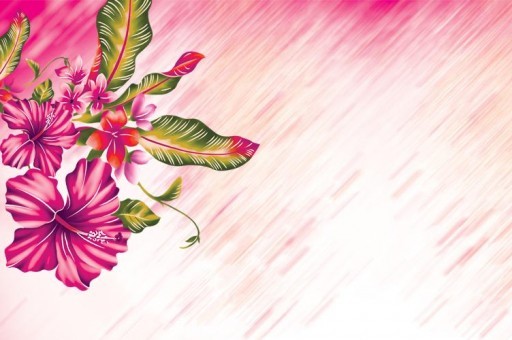 美容养颜的花茶大全2025年排名前十名榜单出炉